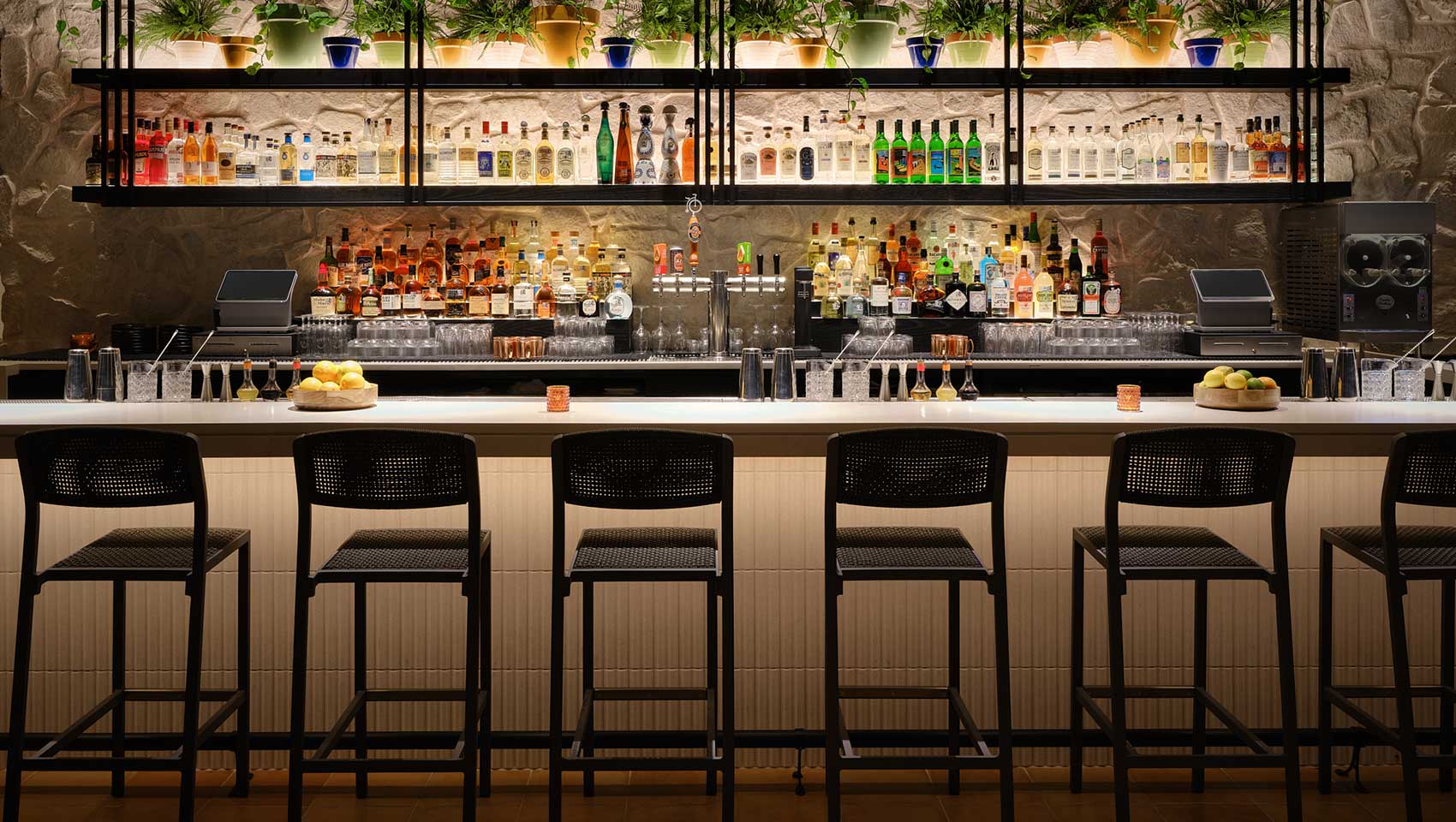 rooftop bar tenfold